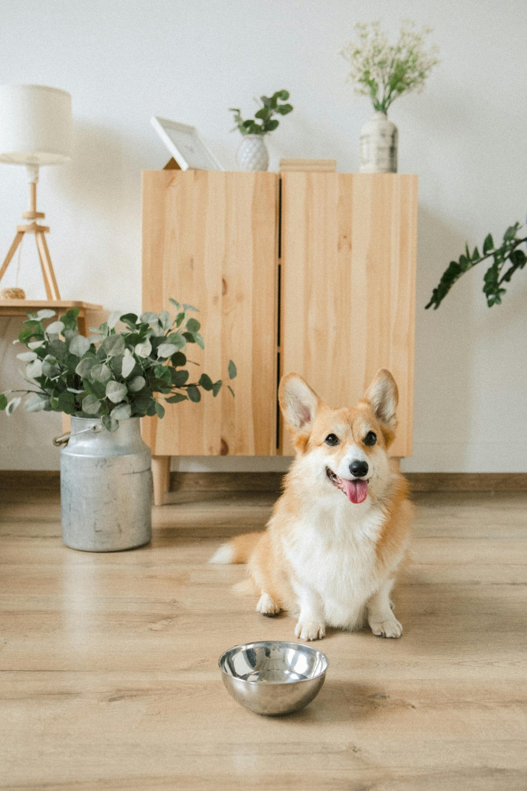 Diervriendelijke planten