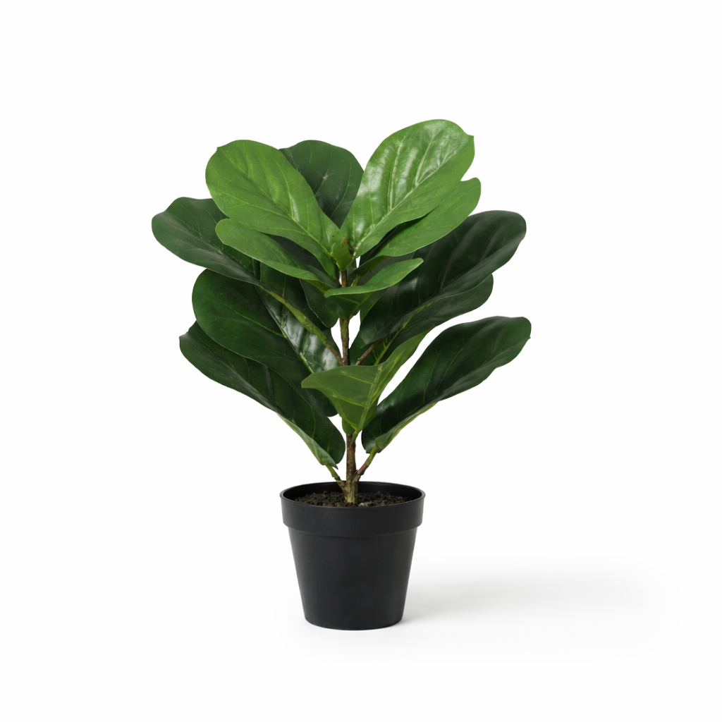 ARTIFICIAL Ficus lyrata - 40cm