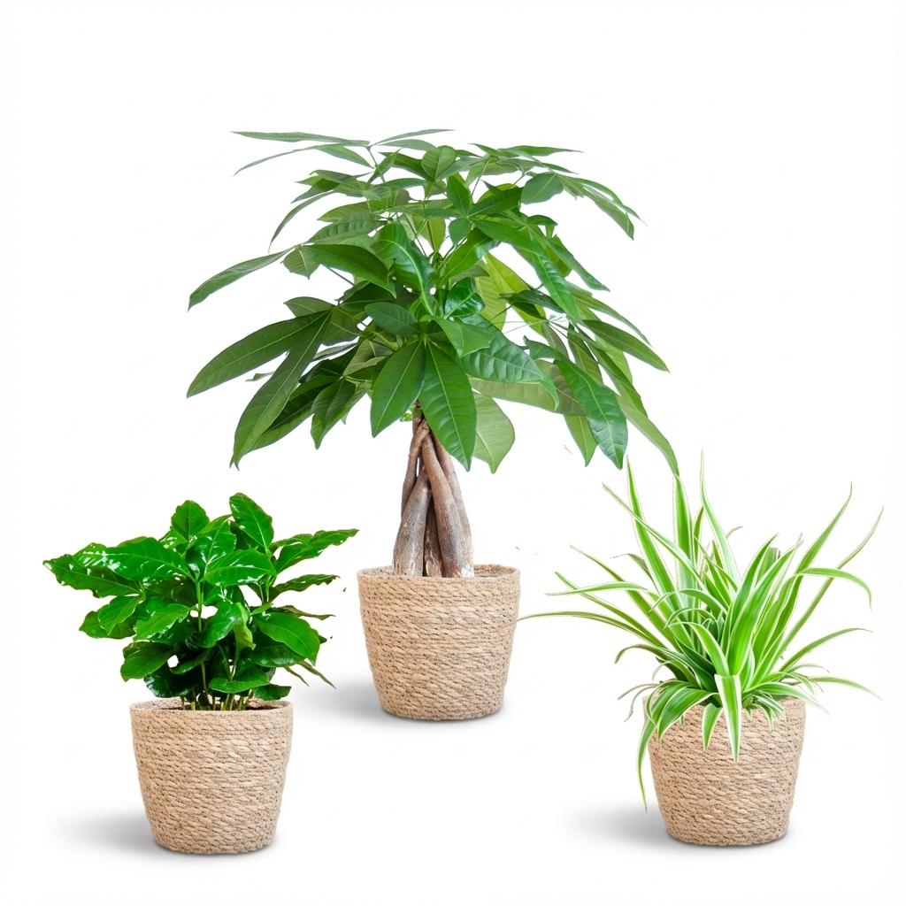Tierfreundliches Pflanzen-Set – Seegraskorb – Ø12 cm