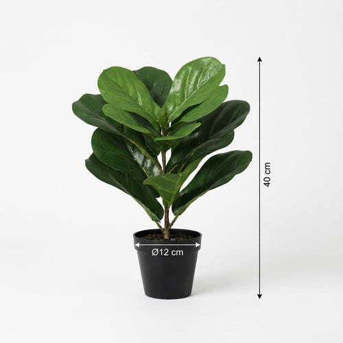 KÜNSTLICHE Ficus lyrata - 40 cm