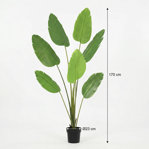 KÜNSTLICHE Strelitzia Nicolai – 170 cm
